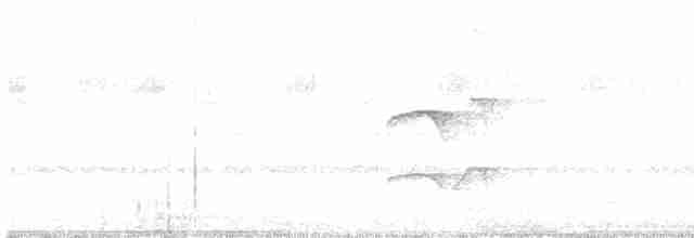 Сичик-горобець савановий - ML616945085