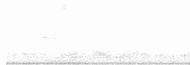 Common Chiffchaff (Siberian) - ML616945331