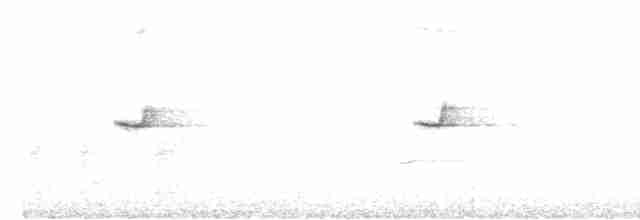 Common Chaffinch - ML616945362