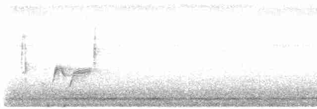White-eyed Vireo - ML616946975