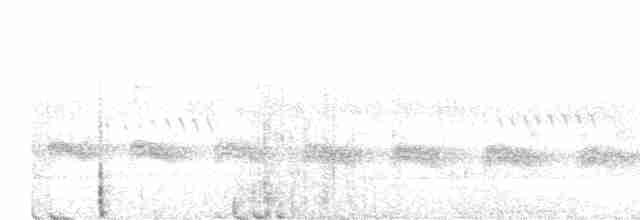 Gelbbrauen-Ameisenschnäpper - ML616948897