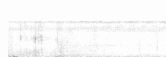 Мурав’янка-прудкокрил жовтоброва - ML616948898