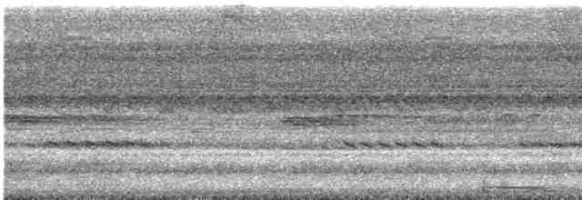 Zigzag Heron - ML616949000