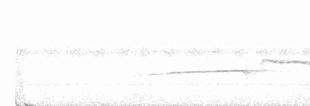 Fourmilier à huppe marron - ML616949117