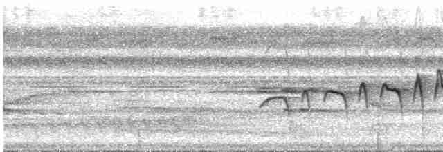 Ockerflecken-Ameisenwächter - ML616950240