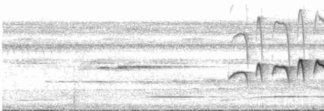 Ockerflecken-Ameisenwächter - ML616950251
