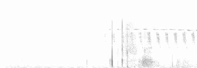 Юнко сірий [група oreganus] - ML616951806