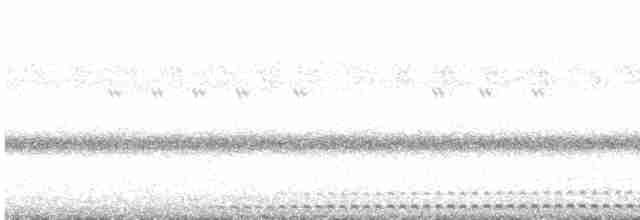 Сплюшка північна (підвид mccallii) - ML616952442