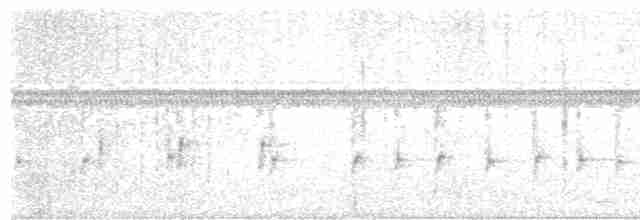 Ушастая аруна - ML616952632