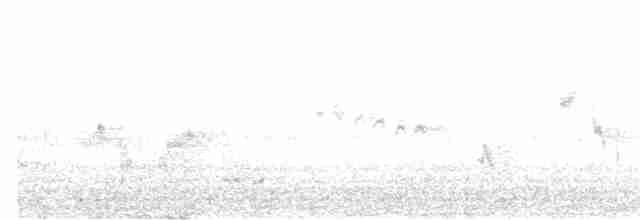 Пронурок сірий - ML616952633
