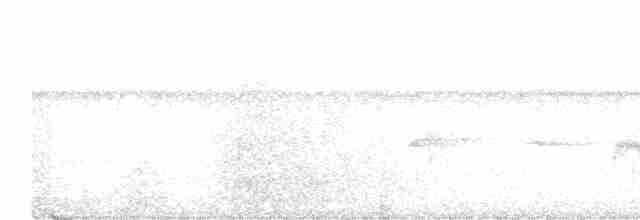 Strichelschulter-Ameisenschnäpper - ML616952664