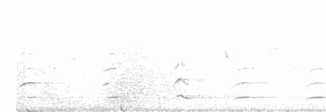 Белогрудый тукан - ML616952823