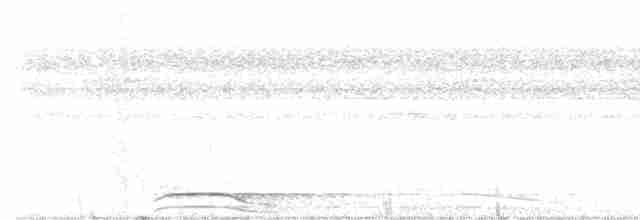 Ошейниковый лесной сокол - ML616955123