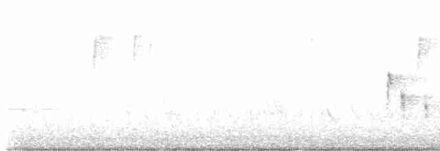 White-eyed Vireo - ML616955317