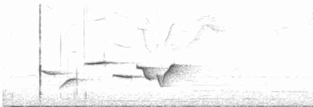 Rufous-breasted Wren - ML616956063