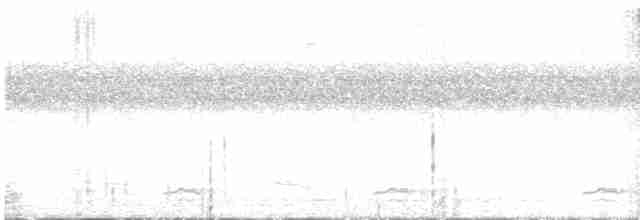 Highland Tinamou - ML616959969