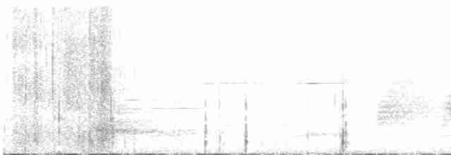 Горный трёхпалый тинаму - ML616961171
