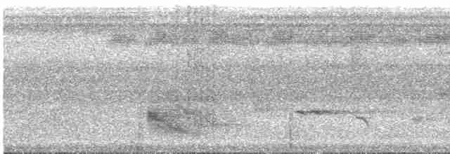 svarthakemaurvarsler - ML616961175