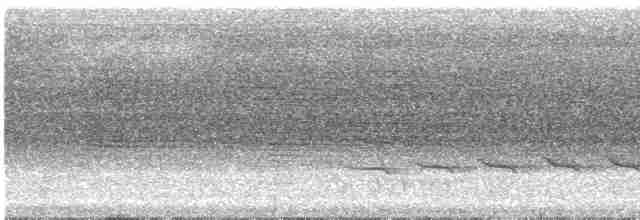 Schwarzgrau-Ameisenvogel - ML616961180