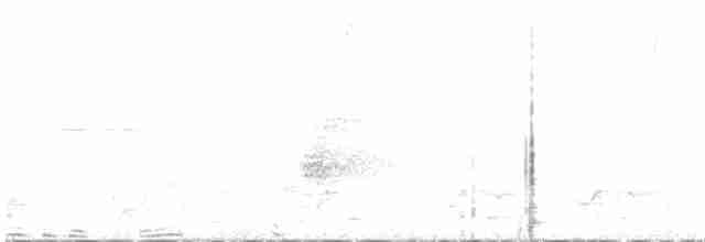 svartbrysttannvaktel - ML616962124