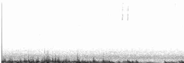 Bruant fauve (groupe schistacea) - ML616966603