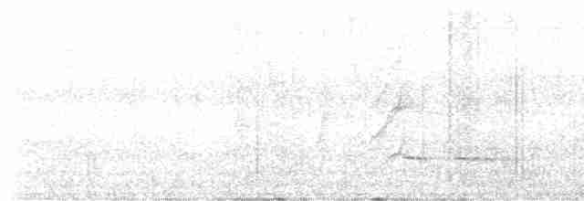 Мурашниця екваторіальна - ML616966979