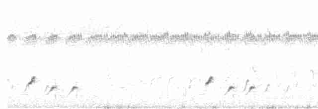 Çizgili Panterkuşu - ML616968796