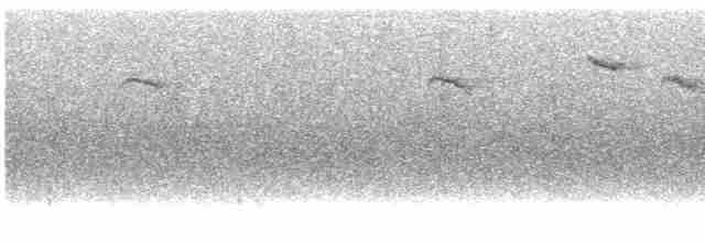 Black-chinned Hummingbird - ML616969951