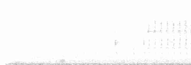 Common Gallinule (American) - ML616970342