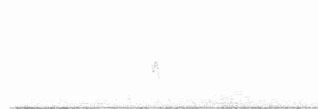 Büyük Yerkoşarı - ML616970365