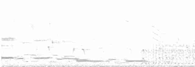 Spotless Crake - ML616972793