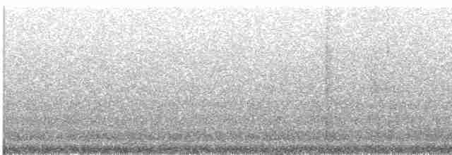 Светлобровый виреон - ML616973713