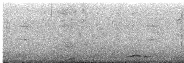 holoubek proužkokrký - ML616973930