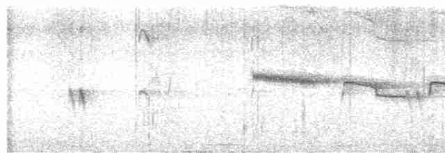 Long-tailed Broadbill - ML616974155