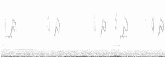 White Wagtail - ML616977180