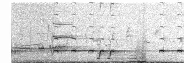Carillonneur huppé - ML616977534