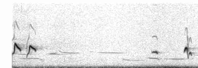 Rufous Fieldwren - ML616977857
