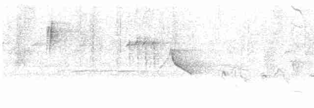 Траурная нектарница - ML616978253