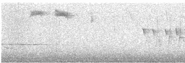 Миртовый певун (coronata) - ML616981436