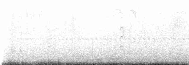 Бонапартова чайка - ML616981594