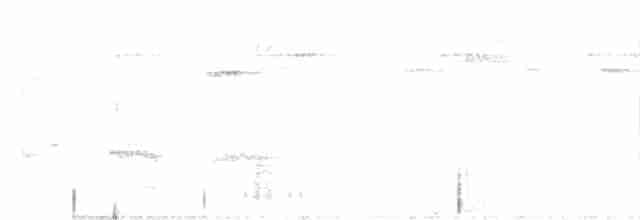 Tinamou à grands sourcils - ML616985786