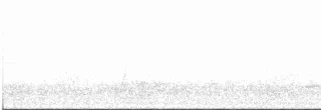 斑胸秧雞 - ML616985949
