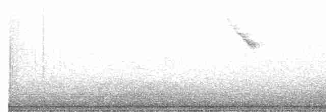 Fan-tailed Warbler - ML616986510