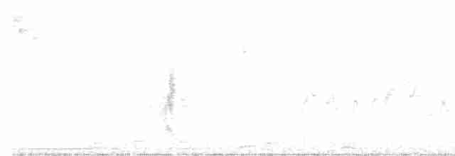 Moucherolle à gorge blanche - ML616987496