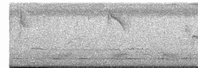 vlaštovka dlouhoocasá - ML616987687