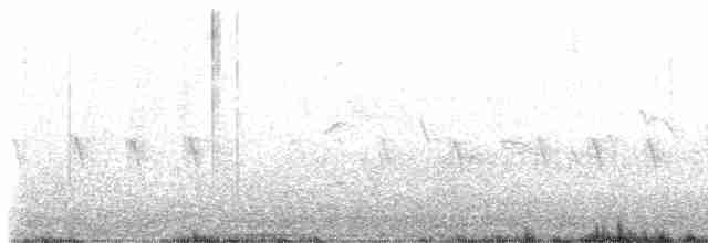 Red Crossbill (Western Hemlock or type 3) - ML616989996