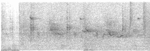 Цинантус синьогорлий - ML616992491