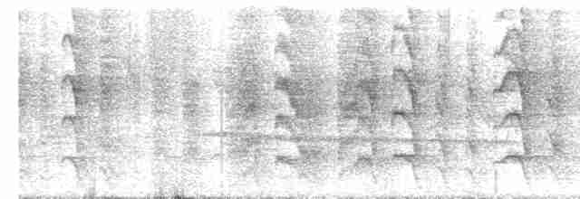Кратеропа жовтодзьоба - ML616992583