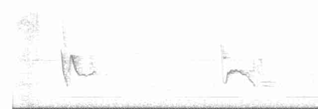 Сероголовый виреон - ML616994066
