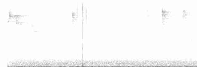 lesňáček černobílý - ML616994517